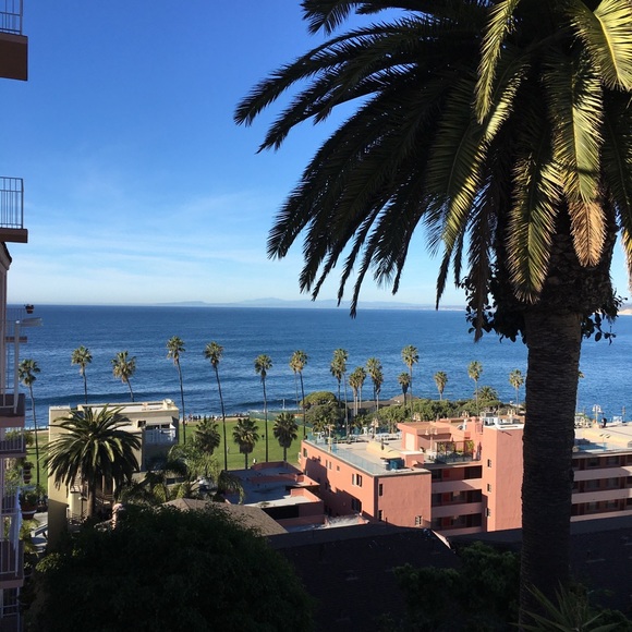 Meet your Posher, Andrew - Picture 1 of 1